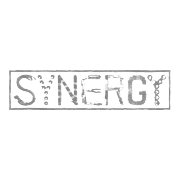 36.-synergy-ConvertImage